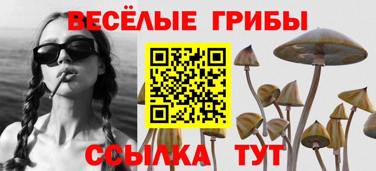 Галлюциногенные грибы Psilocybine cubensis Саки